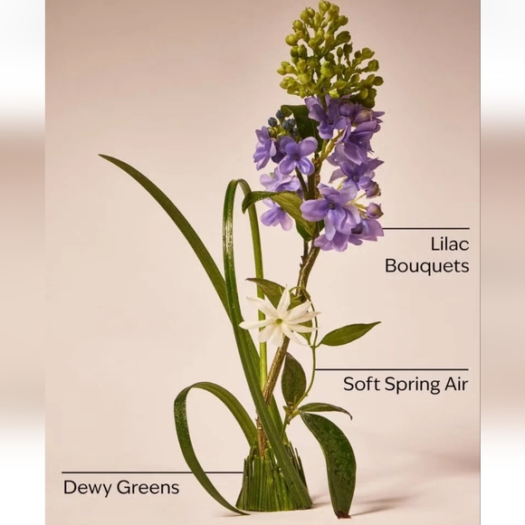 Fresh Cut Lilac Fabric Care Set – Detergent, Booster & 3-Wick Candle Bundle - Picture 4 of 4